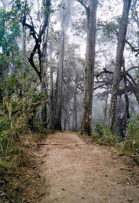 Lower Trail